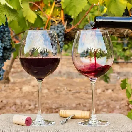 Daire Luxury Seaview *