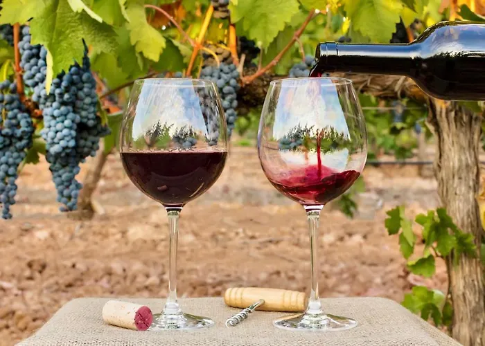 Lejlighed Beachfront Luxury - Sea View Balcony, Private Garage, Wifi, Ac *