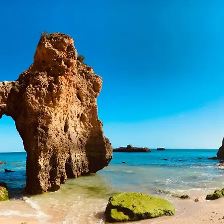 Apartman Luxury Seaview